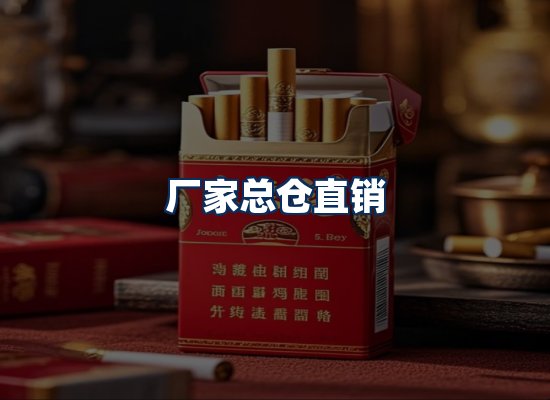 专业团队办公环境
